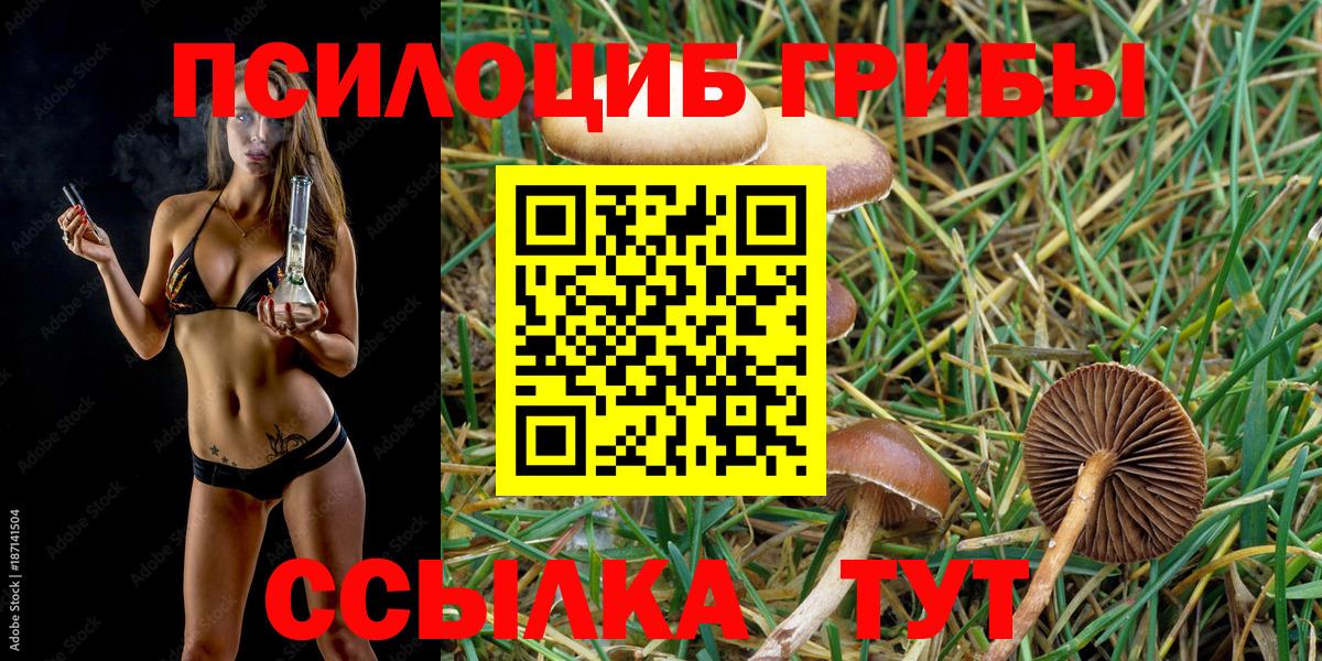 Псилоцибиновые грибы Psilocybe  Вход с VPN  Кызыл 