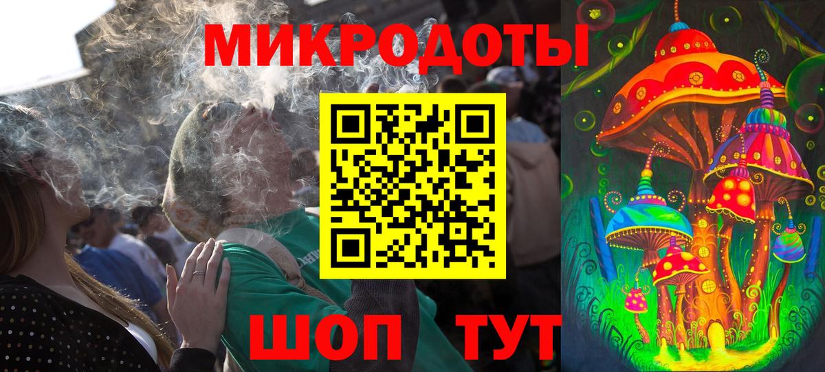Псилоцибиновые грибы Psilocybe Кызыл